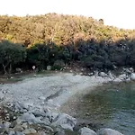 Suha Punta - Crnic *