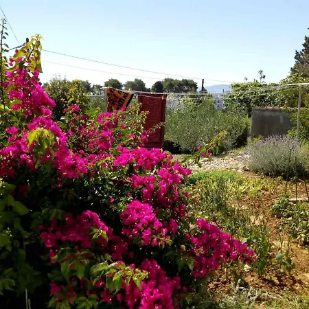 Appartement Suha Punta - Crnic