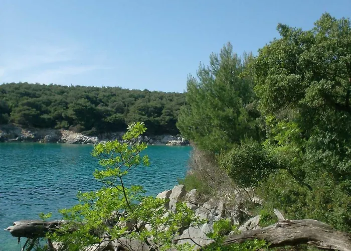 Suha Punta - Crnic Appartamento *