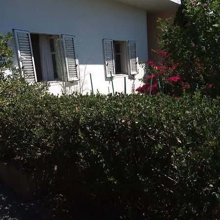 Apartment Suha Punta - Crnic *