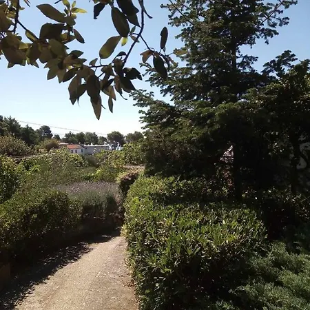 Apartment Suha Punta - Crnic