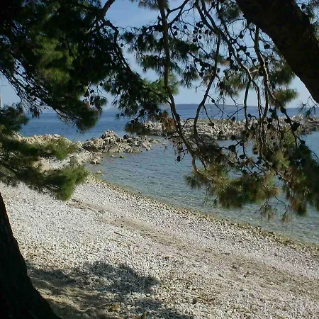 Suha Punta - Crnic Rab Town