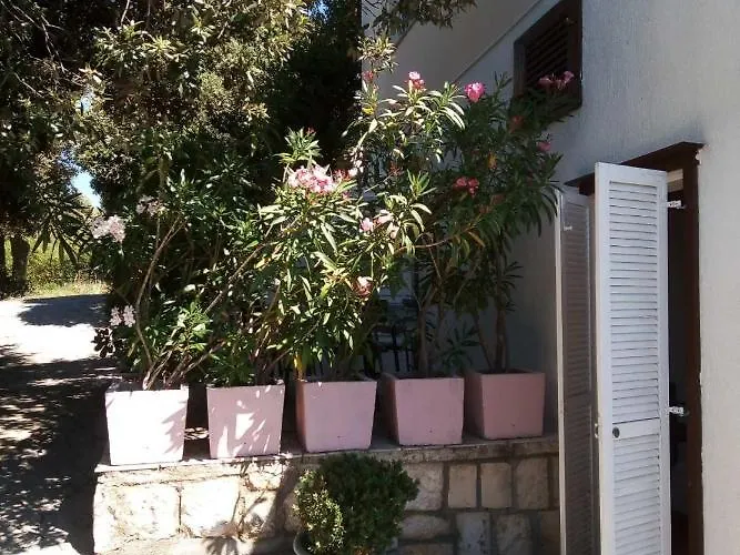Apartment Suha Punta - Crnic Rab Town
