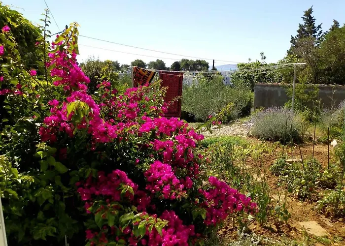 Apartment Suha Punta - Crnic