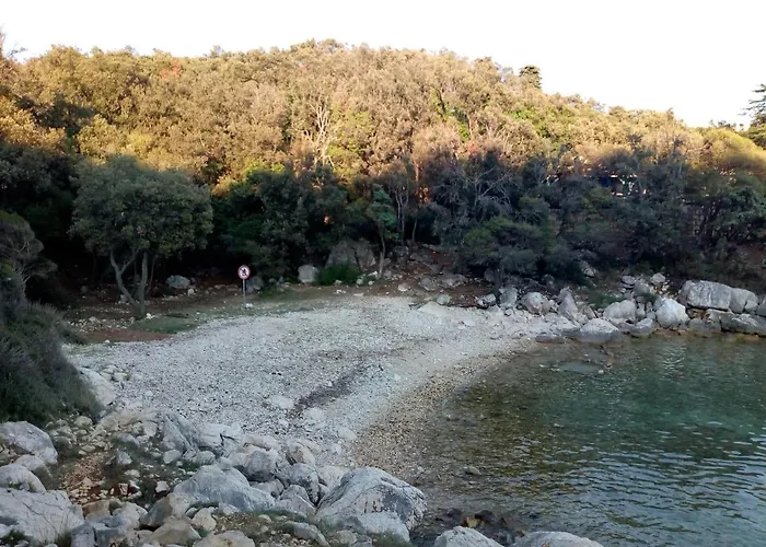 Suha Punta - Crnic *